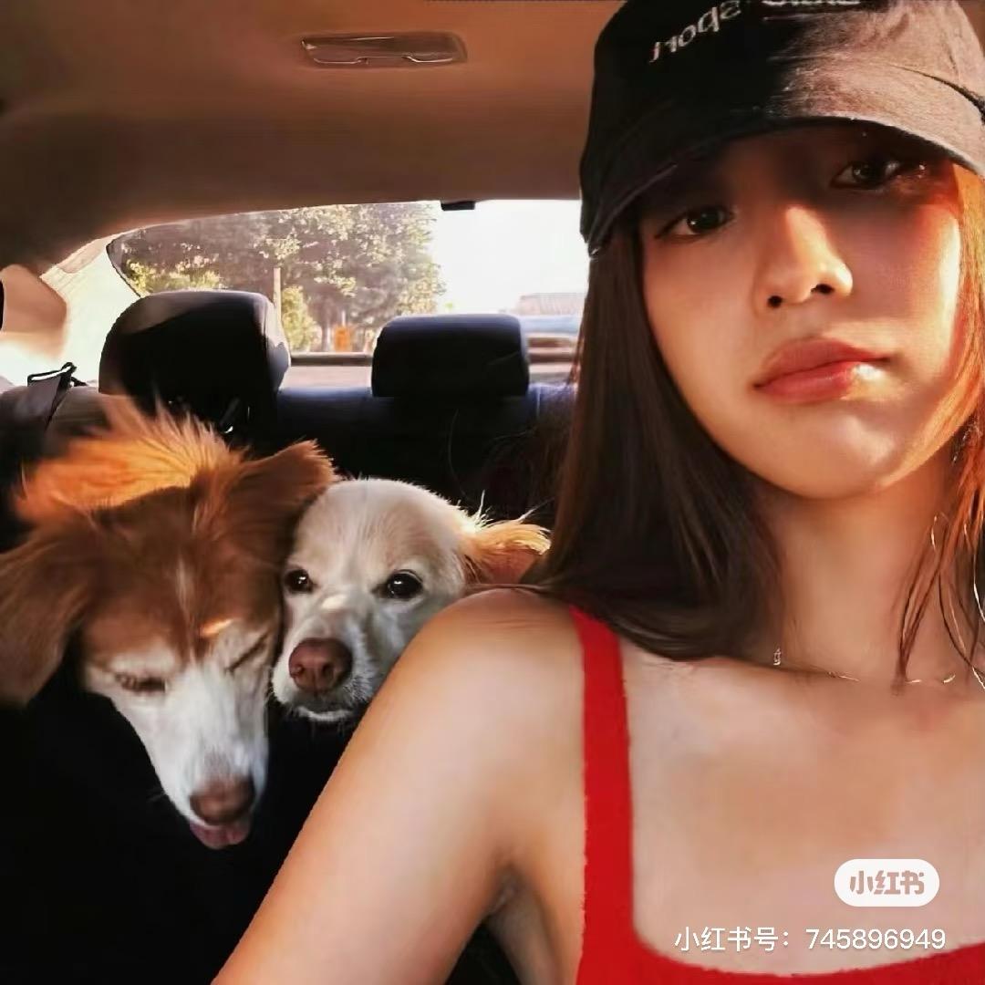 无味☀️