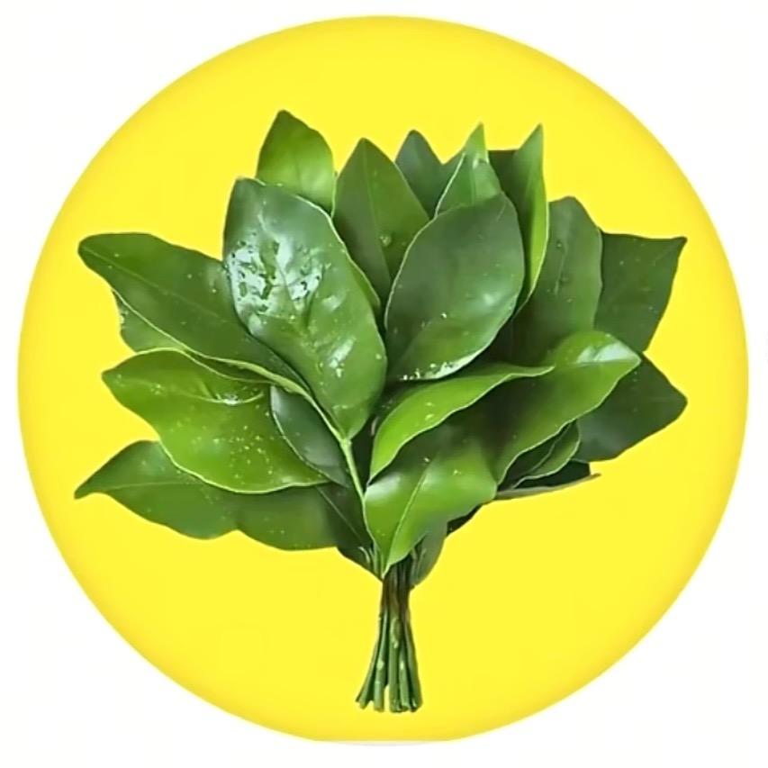 筠雅✨没什么大不了