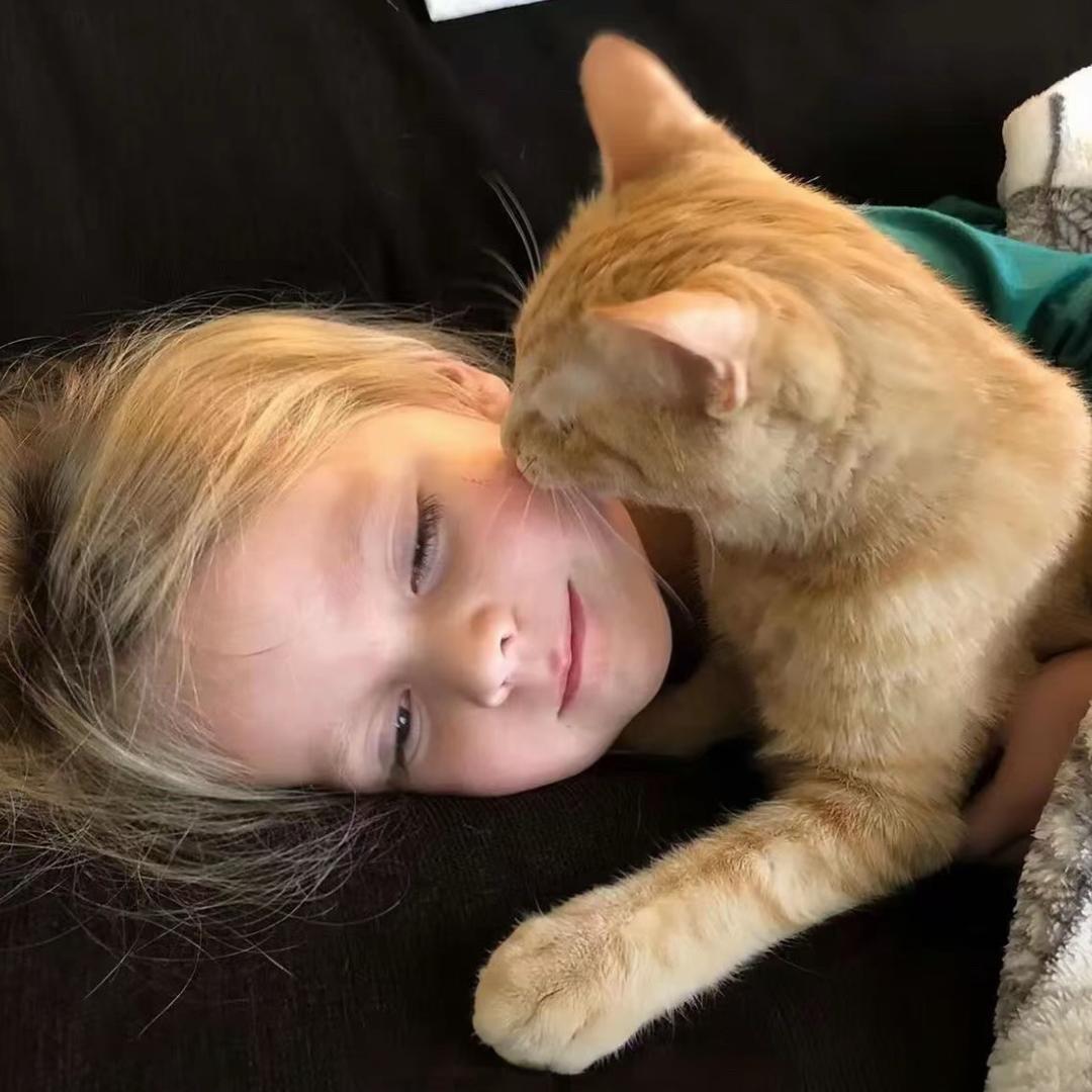 ㅤㅤ ㅤㅤ哎哟喂