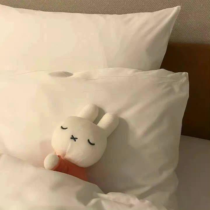 六六睡着了💤