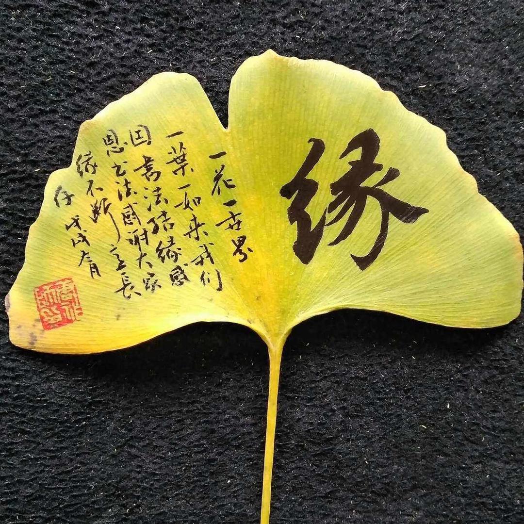 《缘》