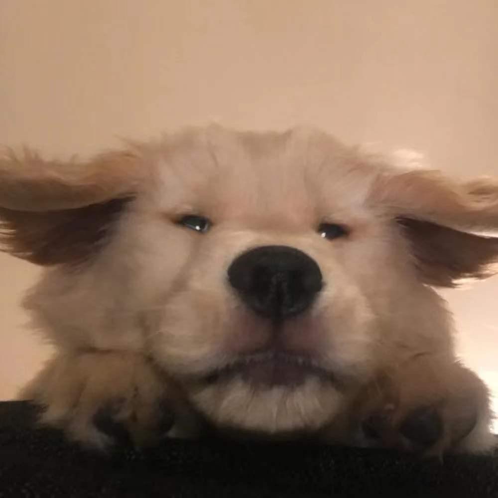 铁骨曾曾