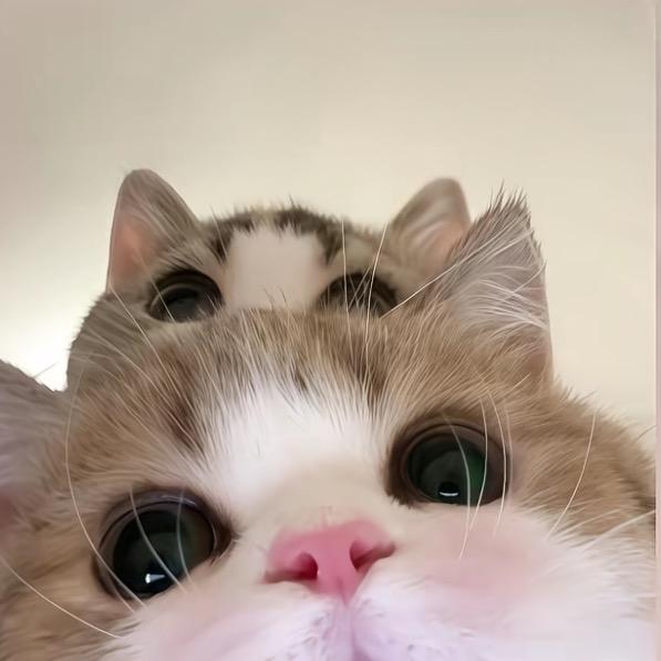 小潼