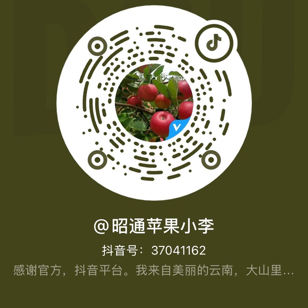昭通苹果小李