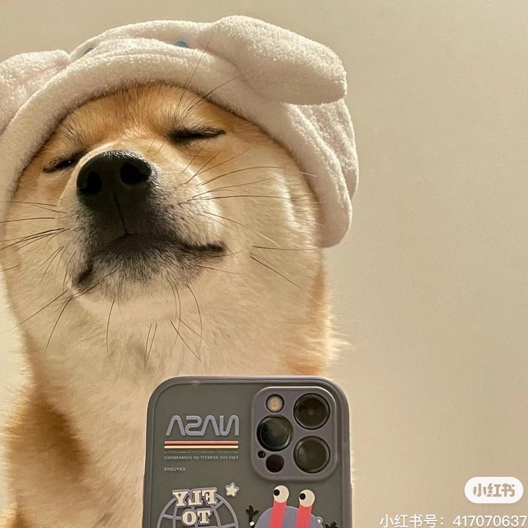 大蒜监护人
