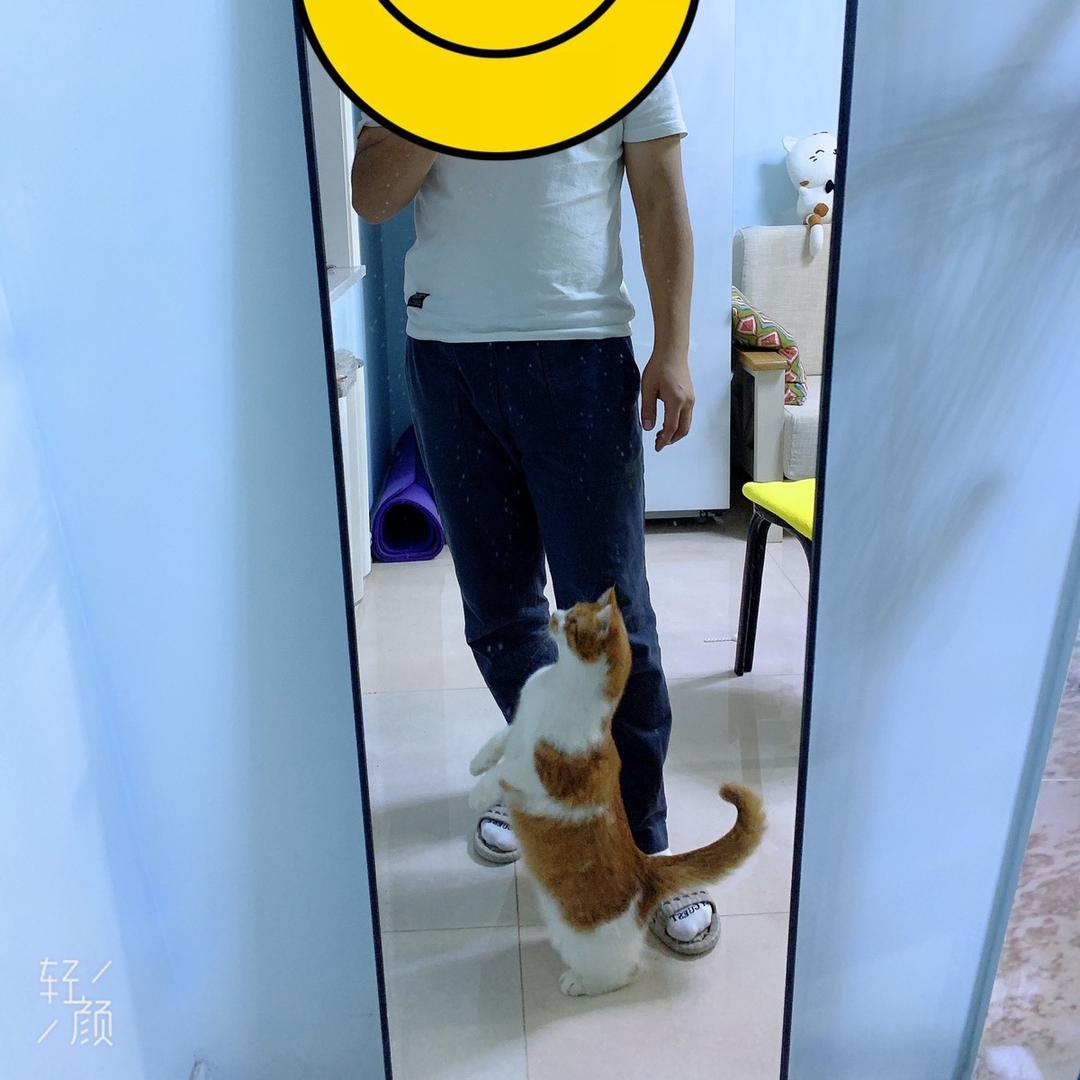 爆爆是只猫🐱