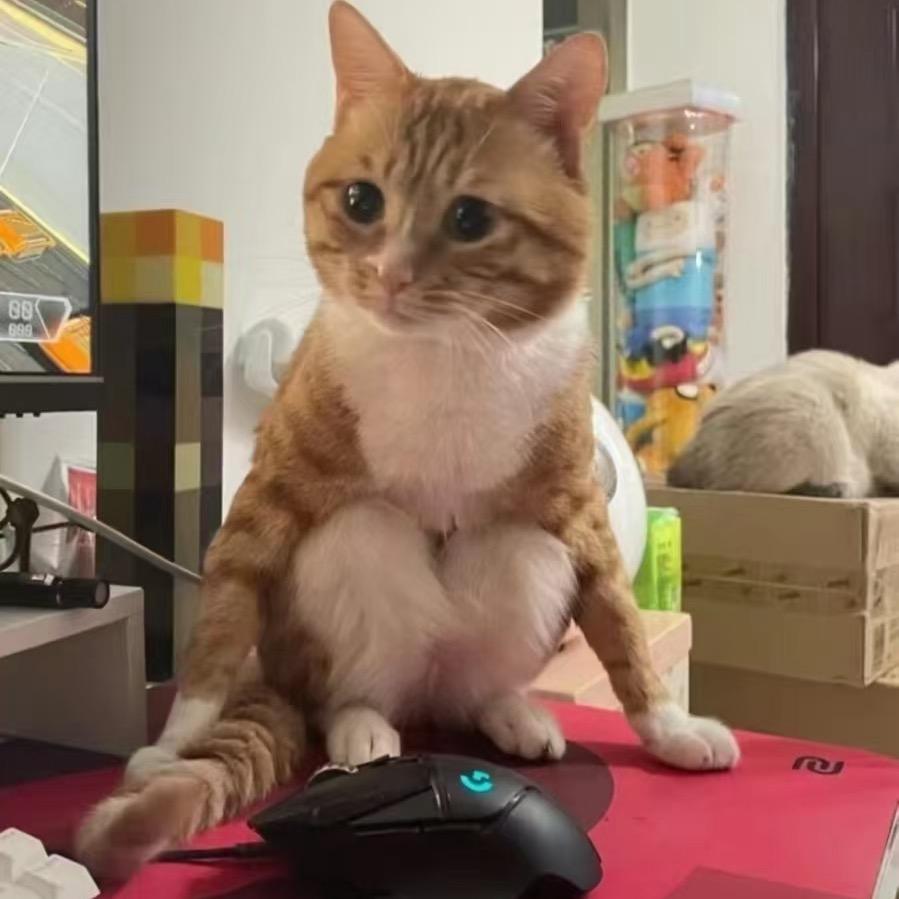 晓🍐的机车（专注各类精品踏板）🏍️