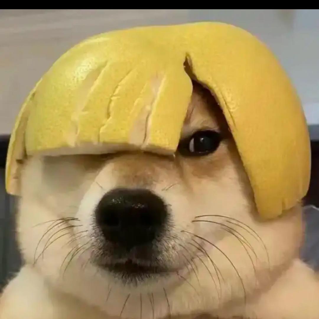 喜多多哇