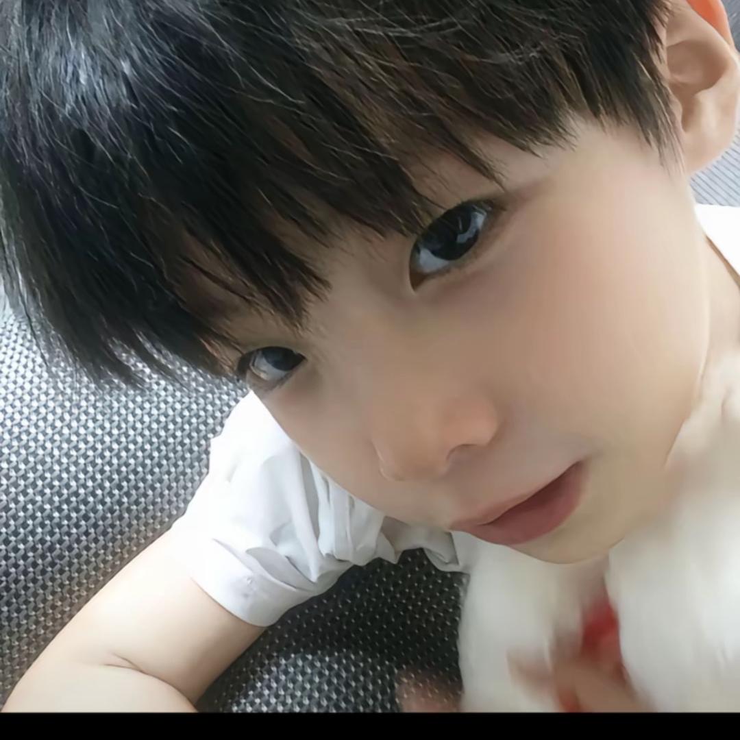 贪睡的一只猪