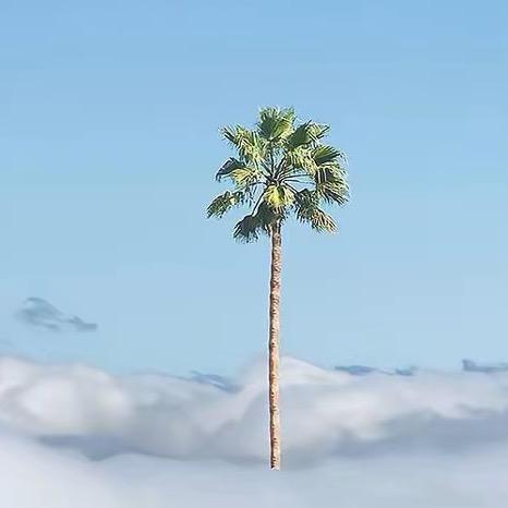 妖业不在大邳