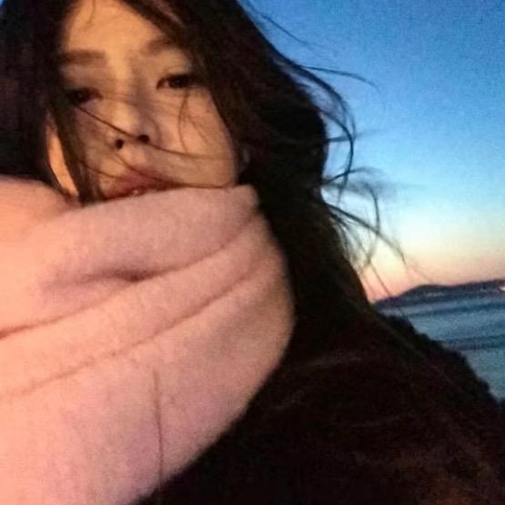 十五年等待候鸟