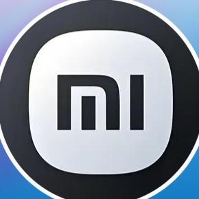 小米汽车丨洛阳泉舜（小葵）