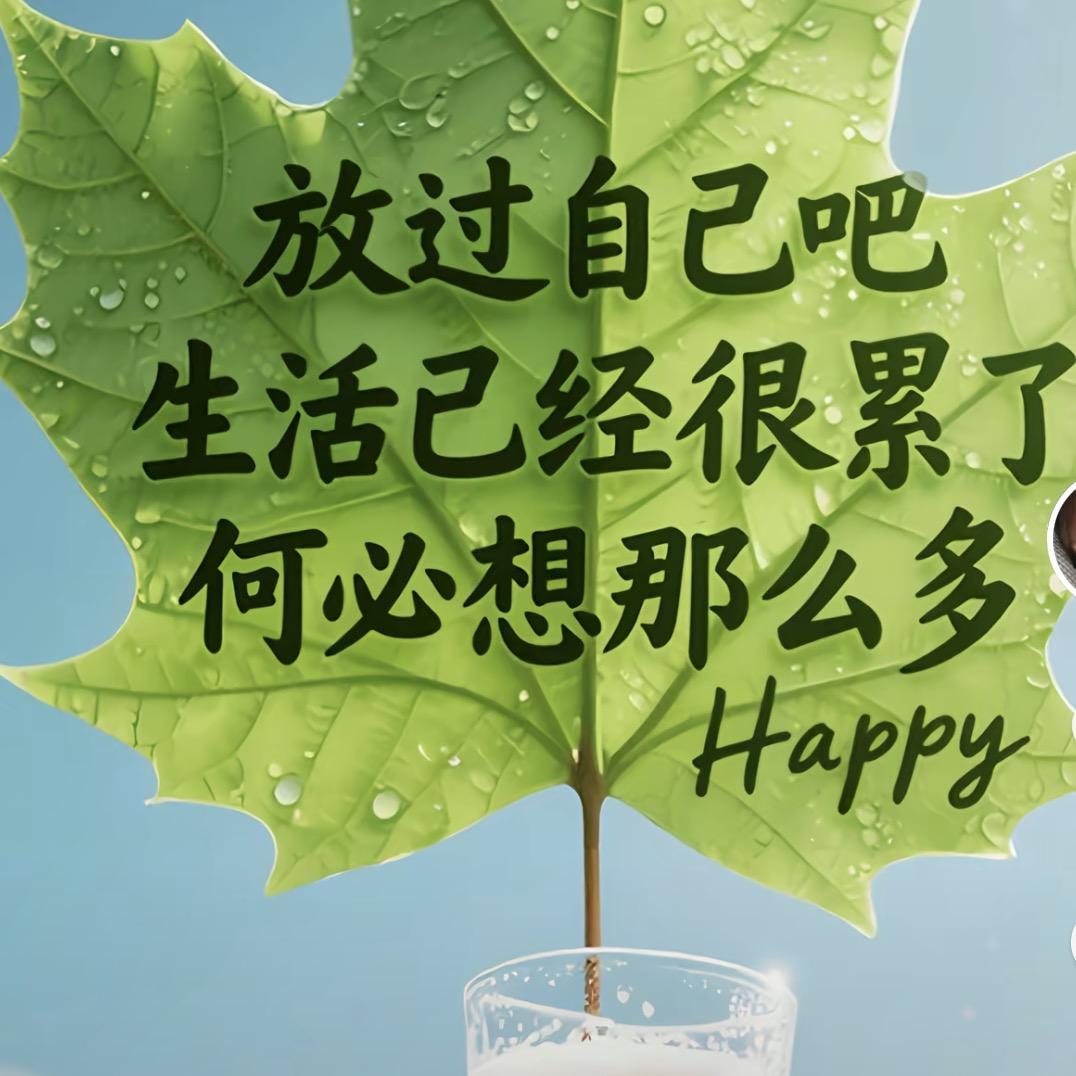 退🧚‍♀️后