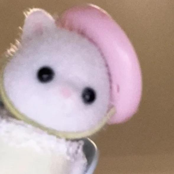 玉米大王