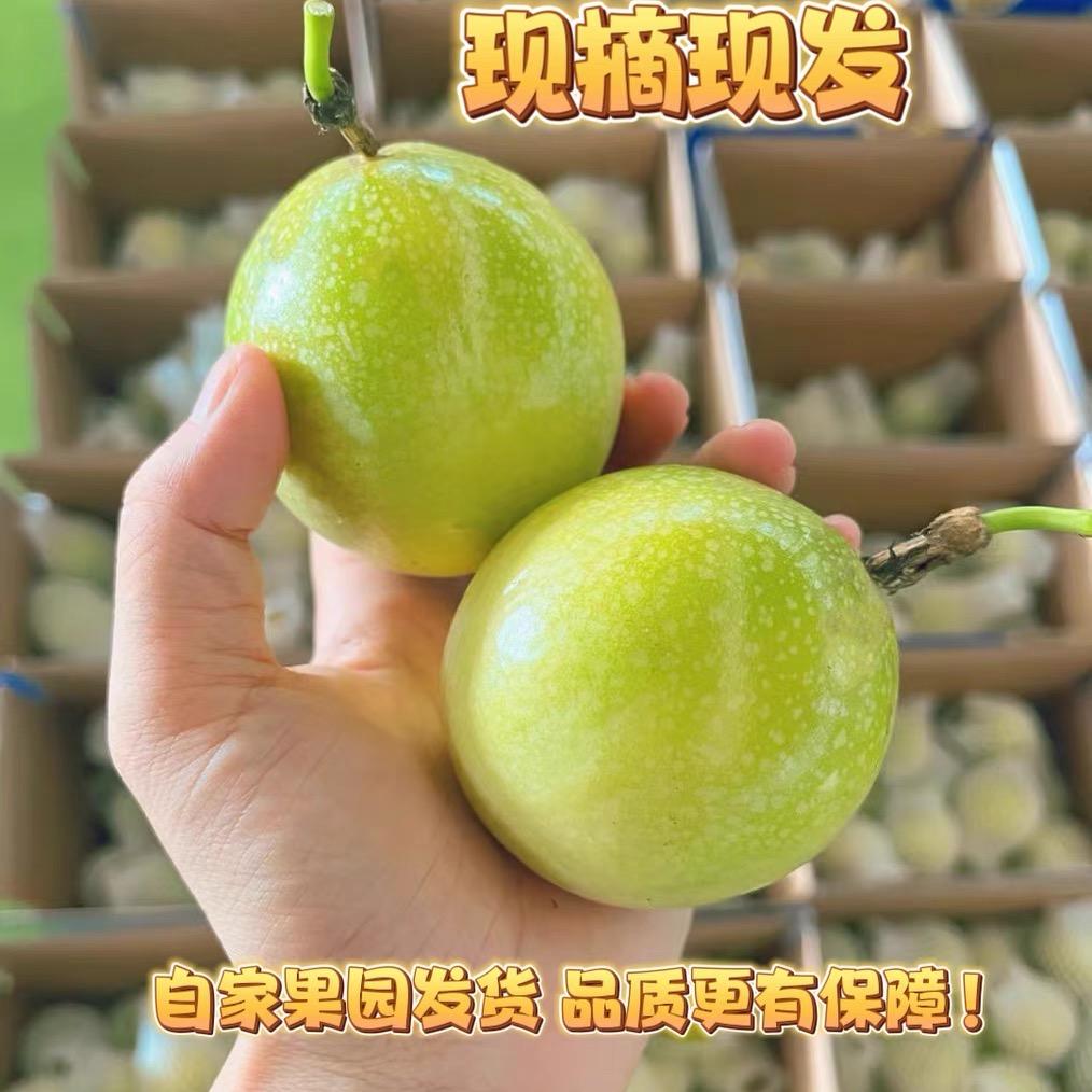 麦多多鲜生