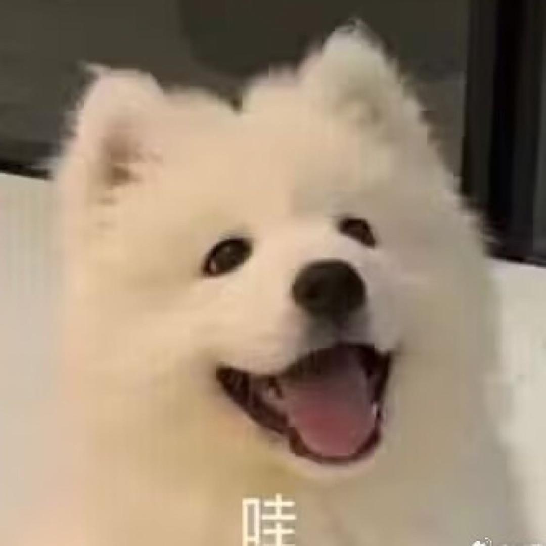 诶嘿嘿