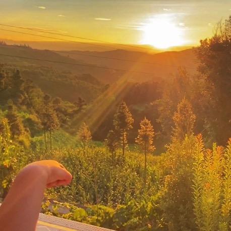 艳丽（彬彬同学）