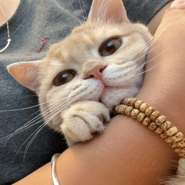 喝口水压压璟（E版）