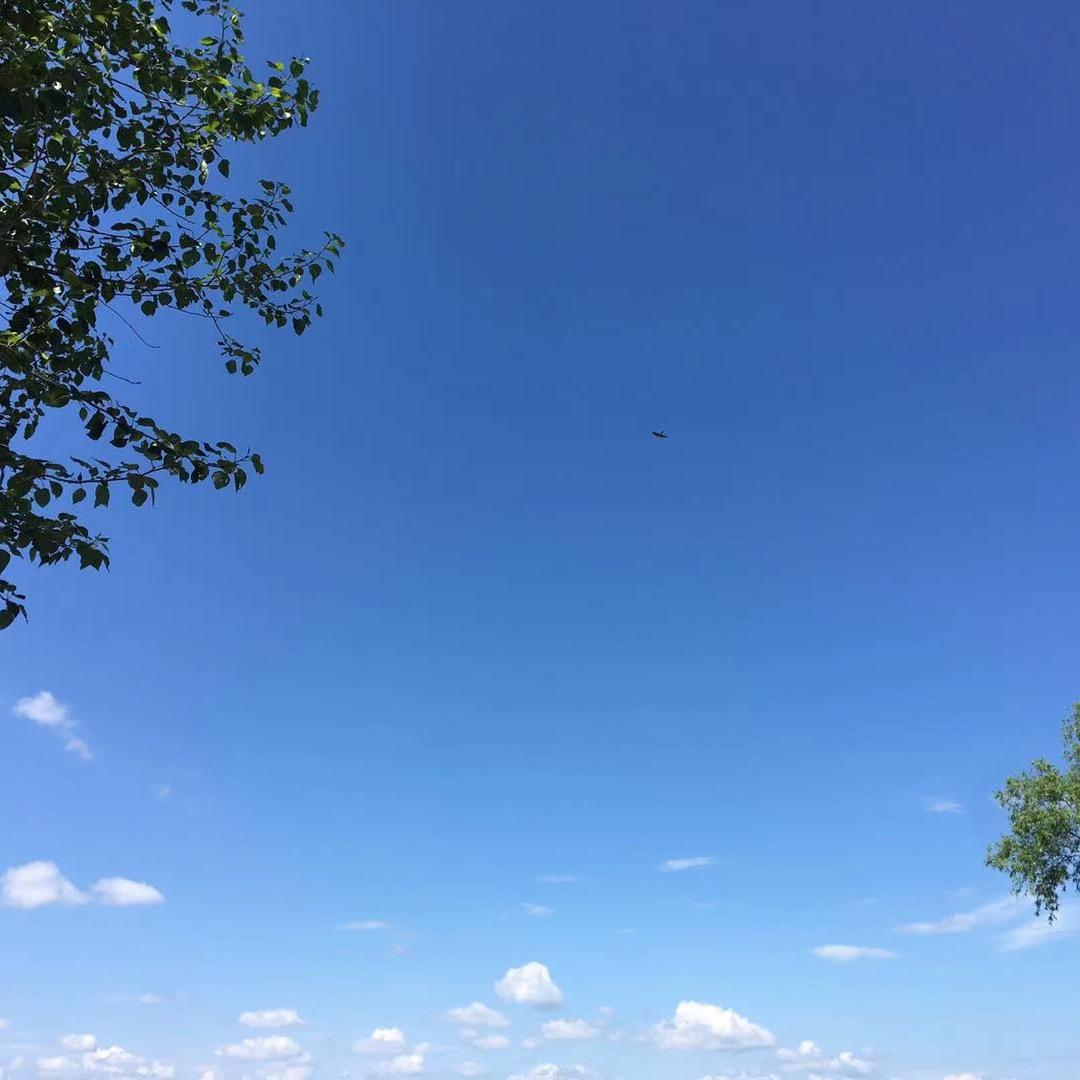 任皓宇