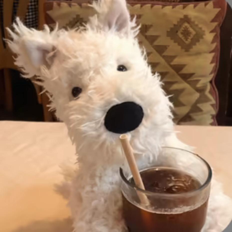 ˗ˋˏꪔ͈̮ꪔ̤̥ᙏ̤̫͚ꪔ̤̮ˎˊ˗