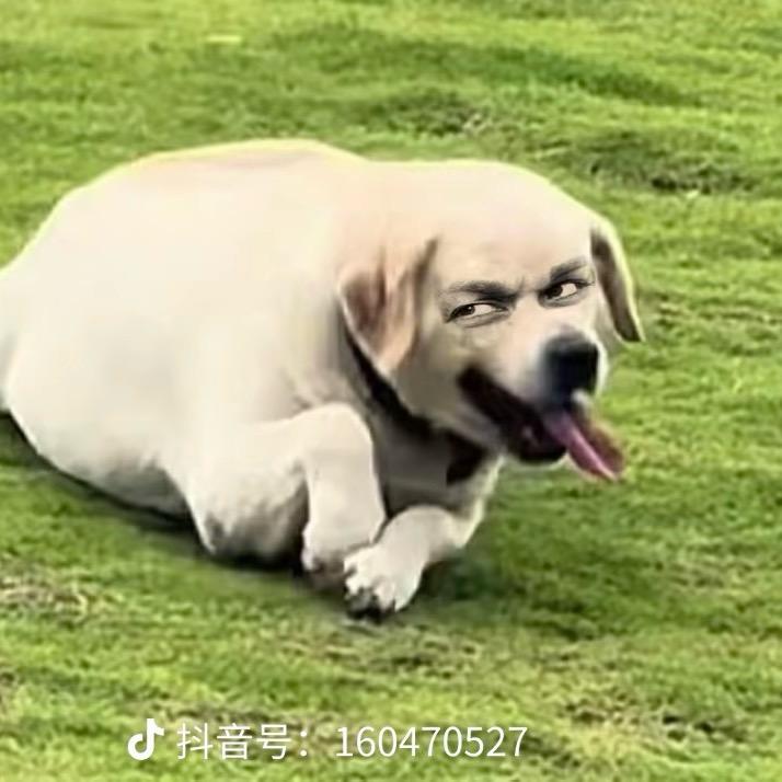 06凌晨的粥