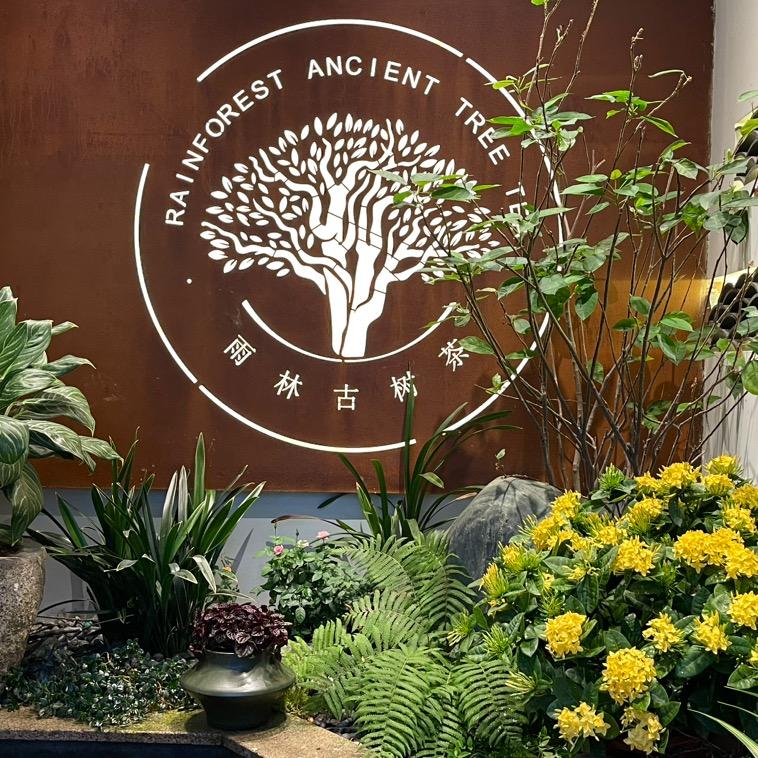 雨林古树茶（顺徳大良愉景花园店）