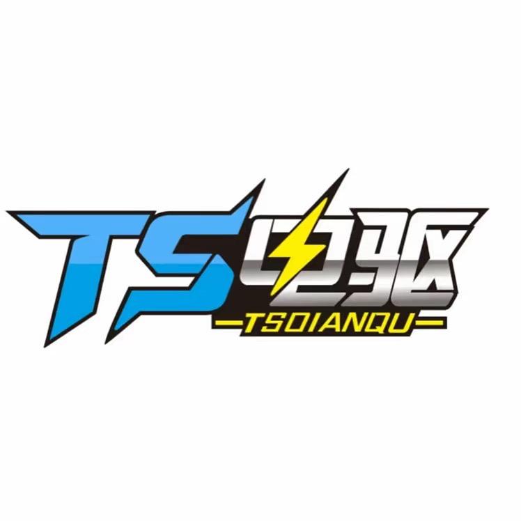 TS电驱