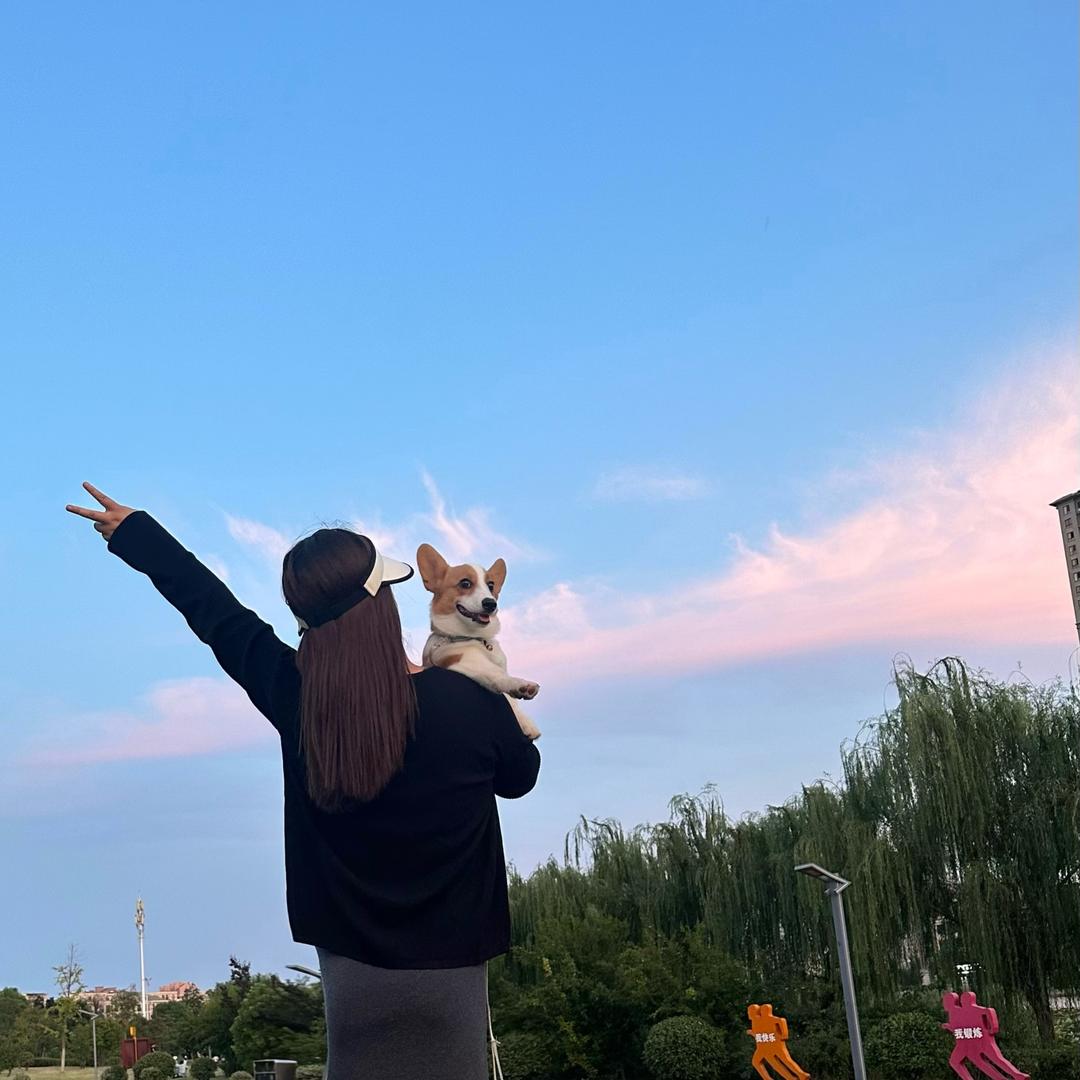 章鱼哥