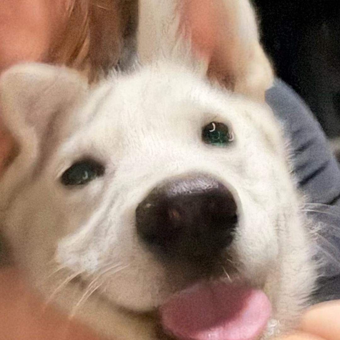 Oooooo