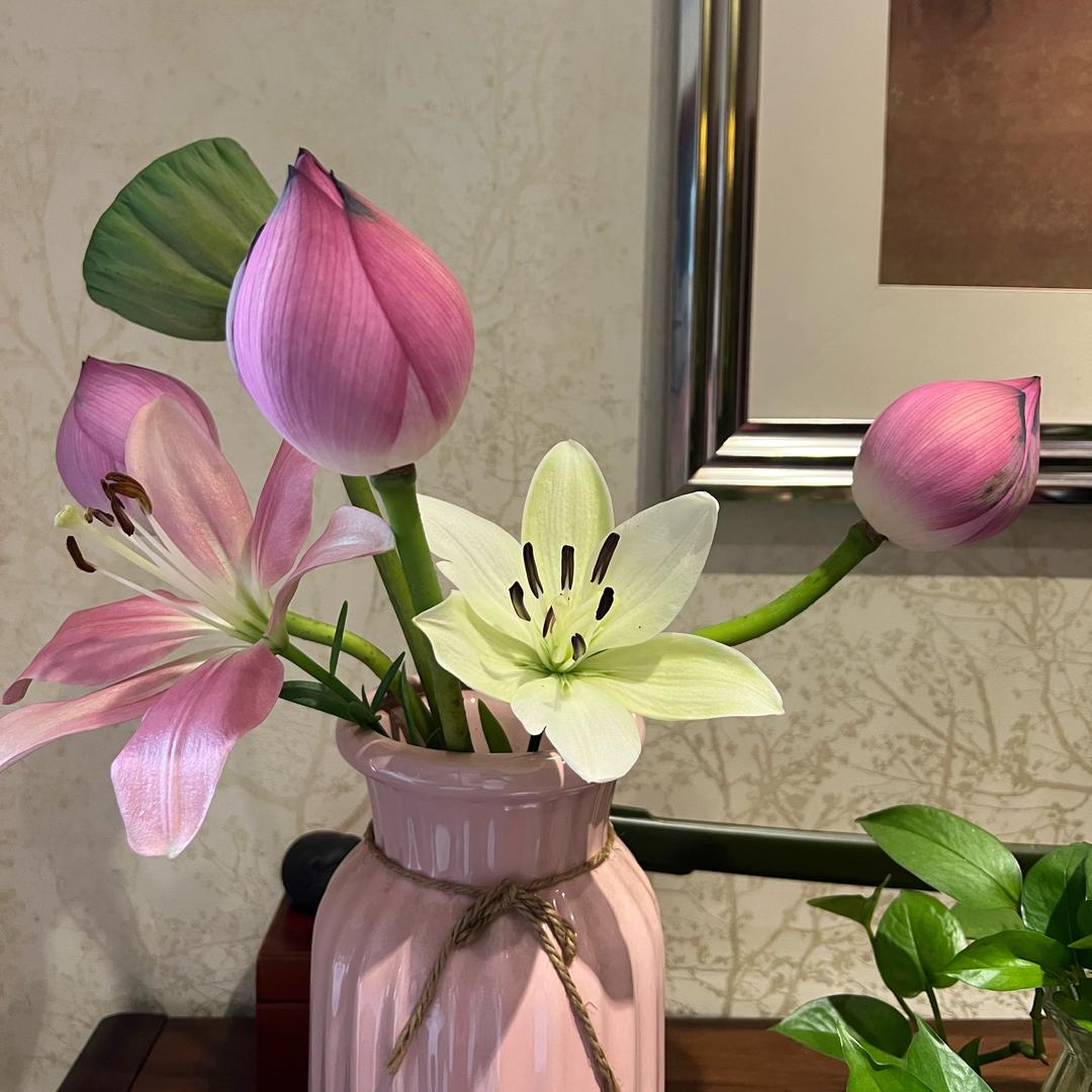 浅笑不语😊