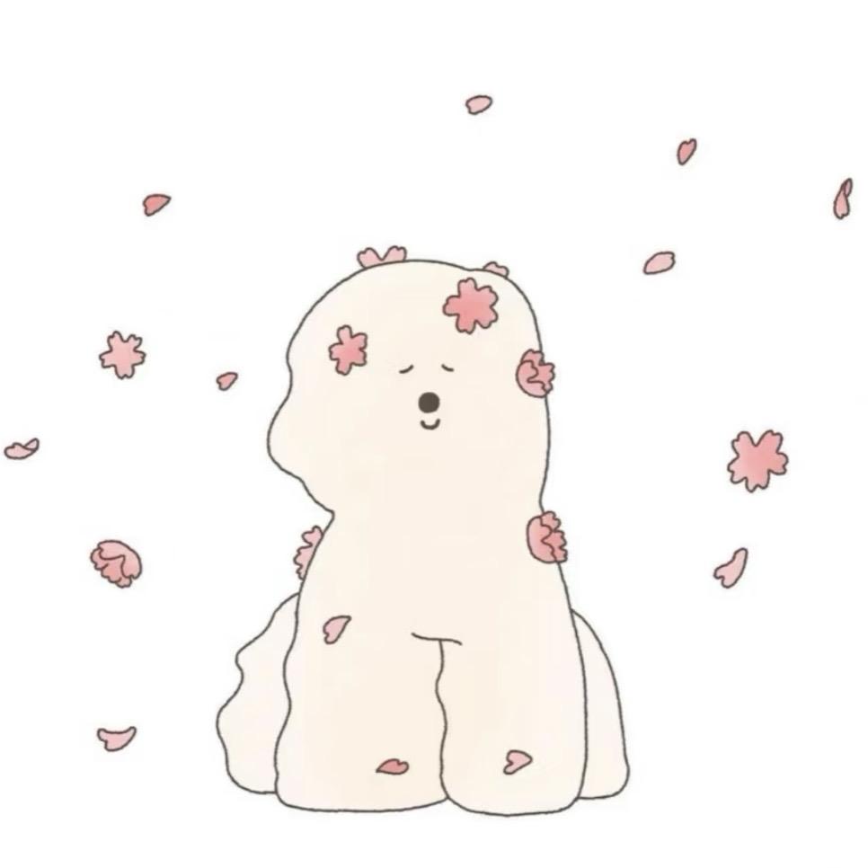 好运小肉Q