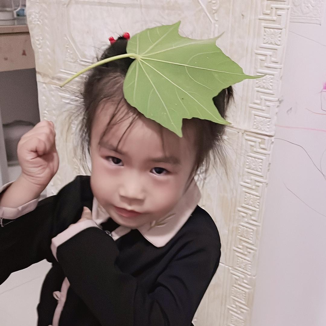苏苏的到来