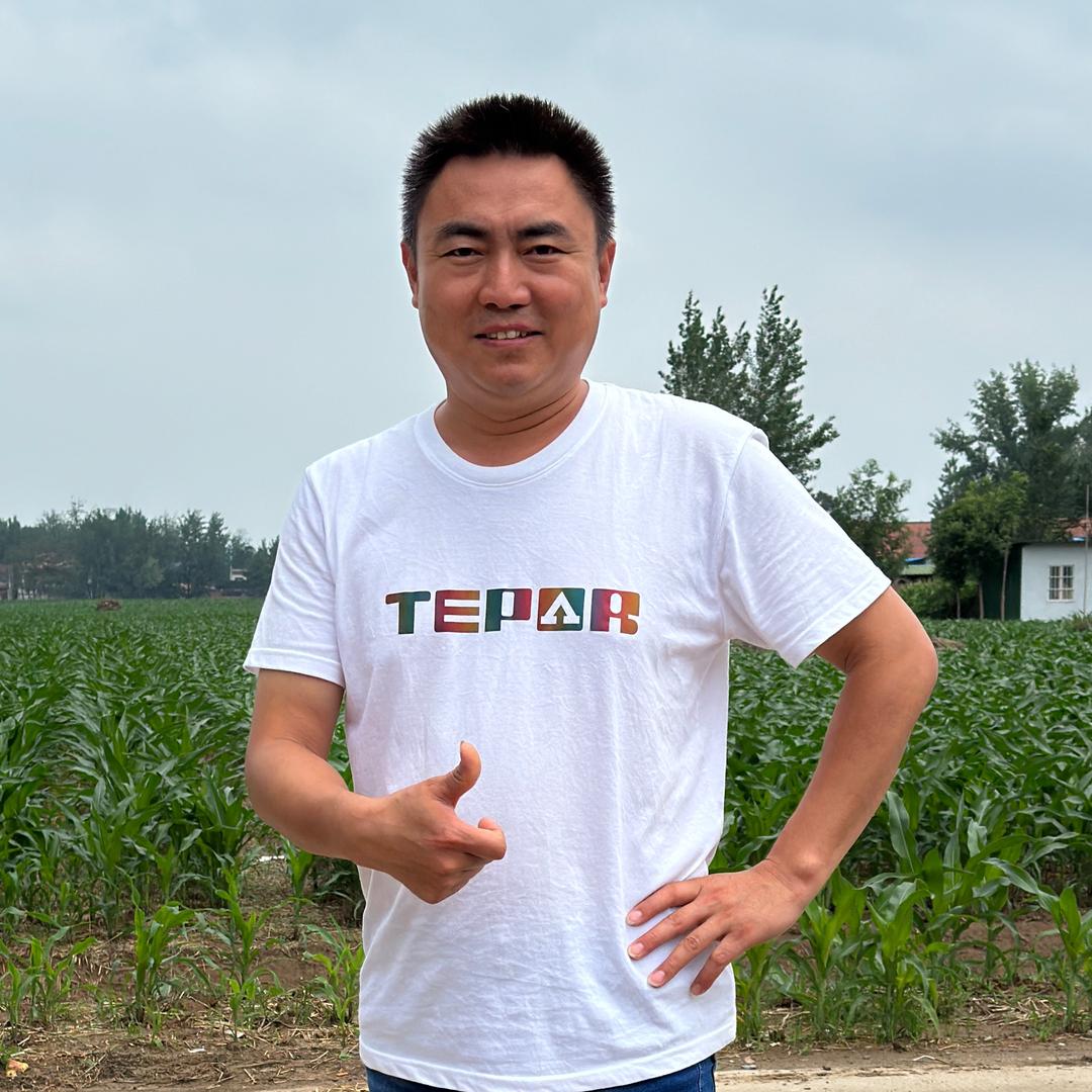 豫东春光