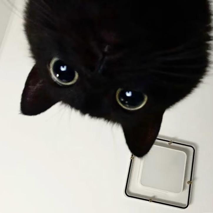 t𝙨𝙪𝙠𝙞.