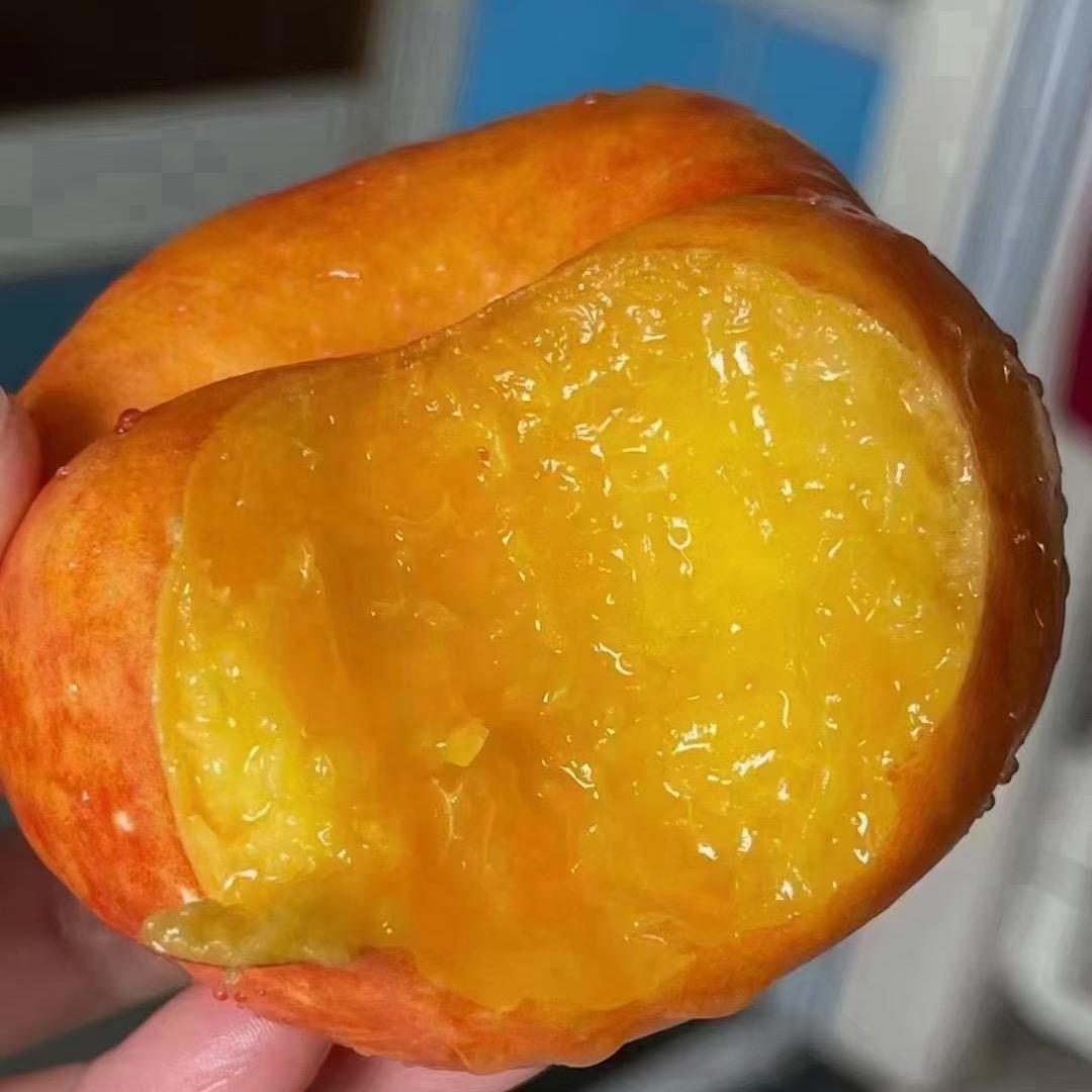 鲜时达生鲜供应链