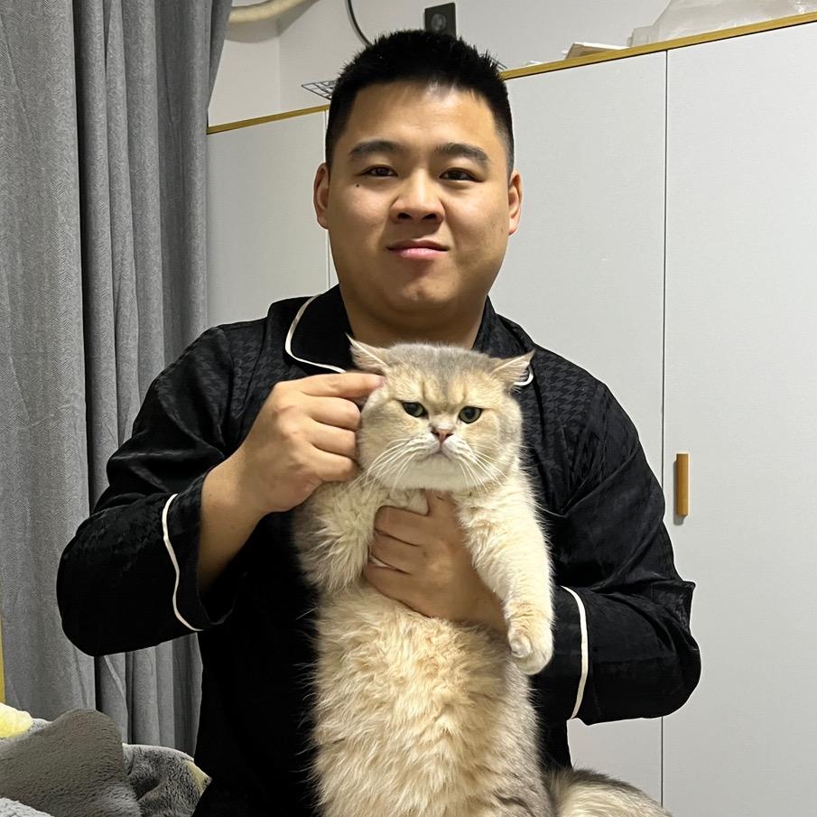 壮实说猫