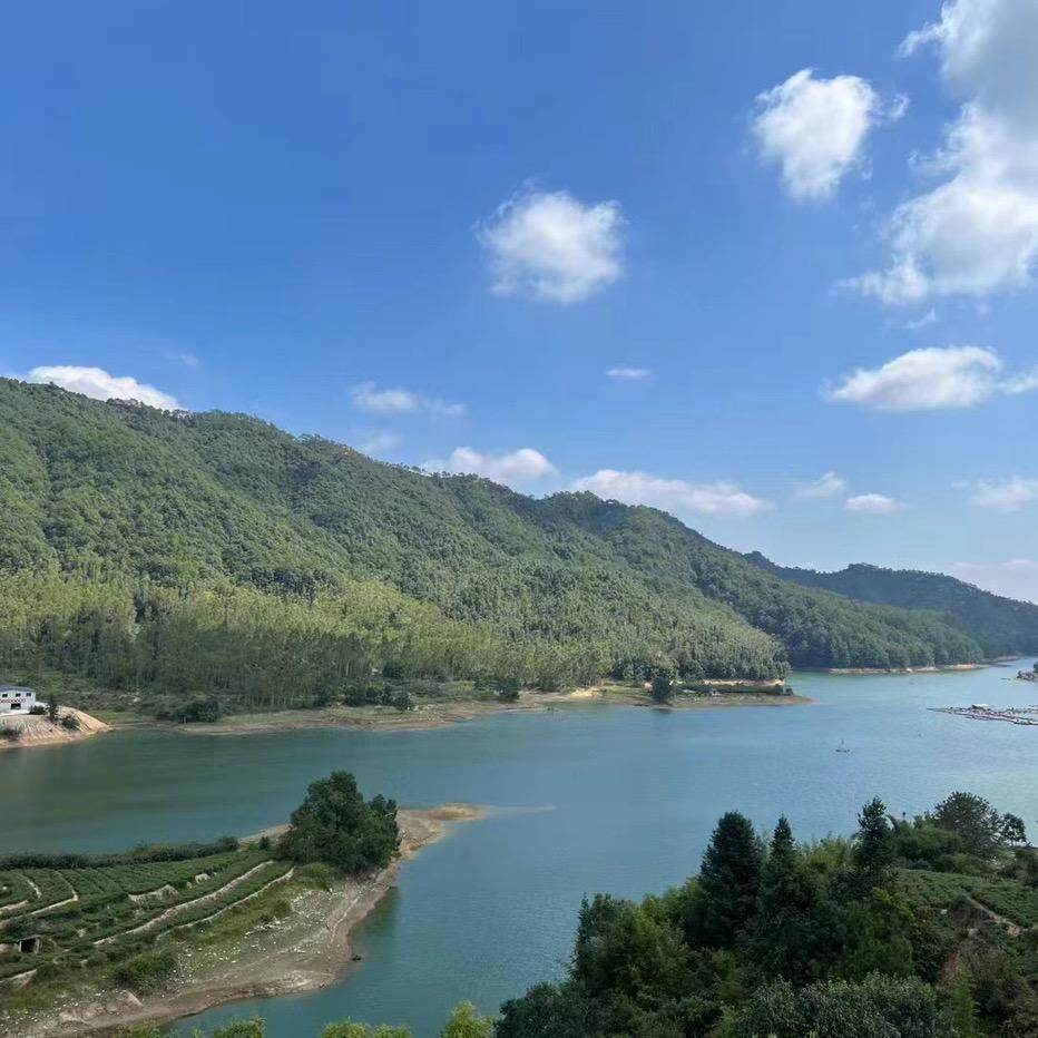 中闽老铁雪琴客服号