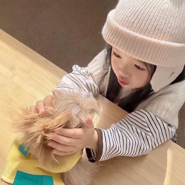 小蘑菇.