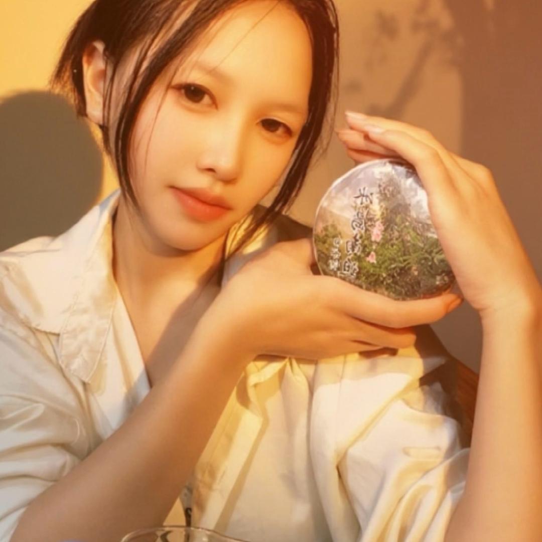 七妹的冰岛茶～