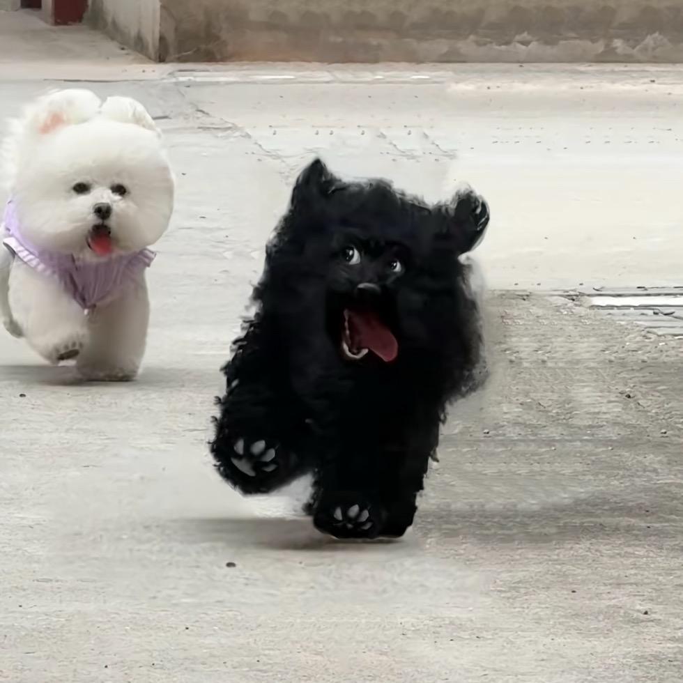 小嵩（被✖️✔️集邮版🫰