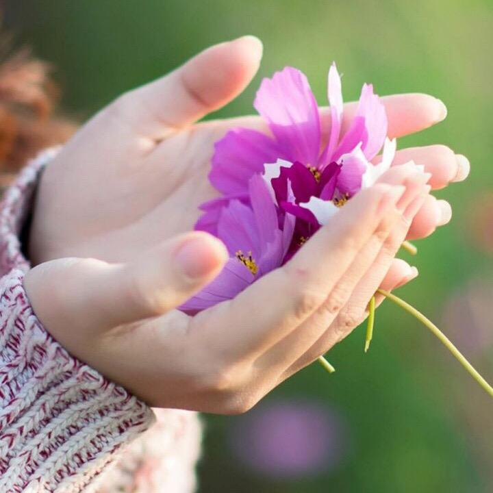 知足常乐🌸