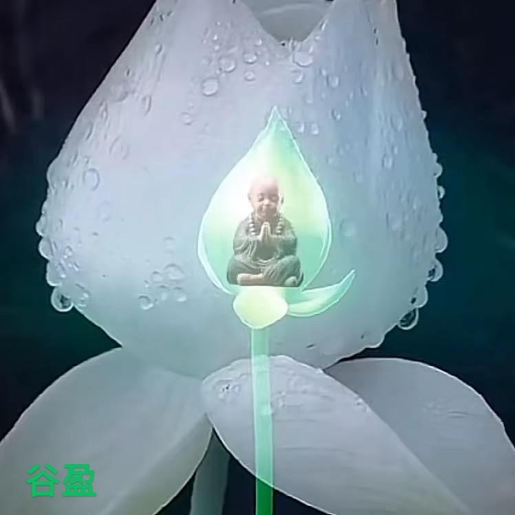 亮晶菁（2）健康与美丽同行