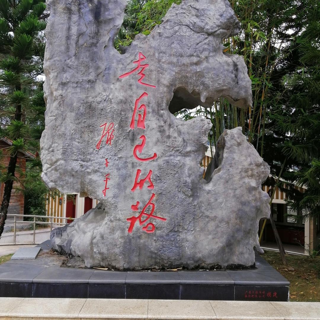 大漠雄鹰