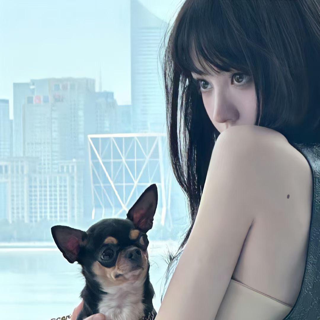 泡泡猪