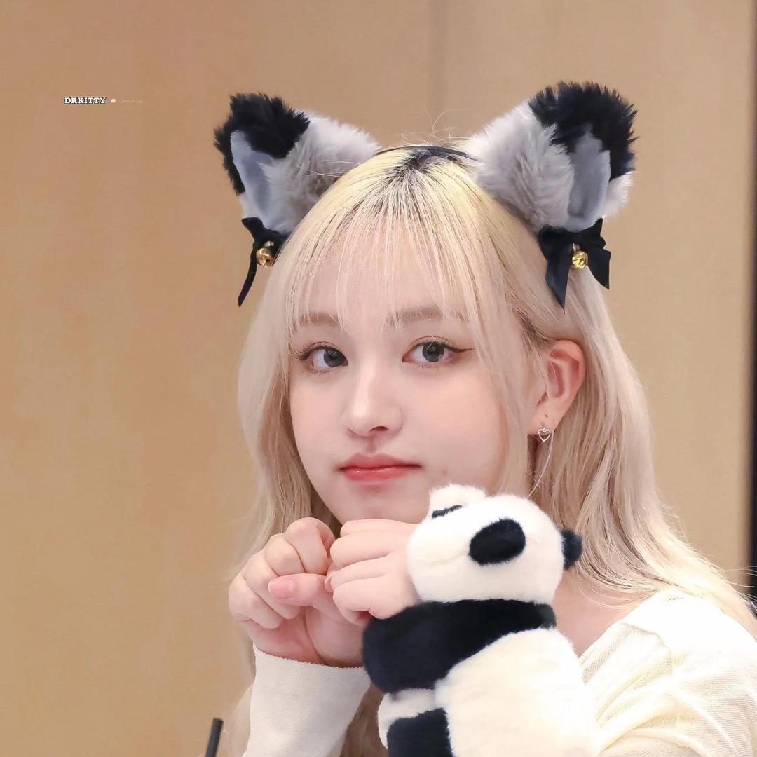 林以恒✨