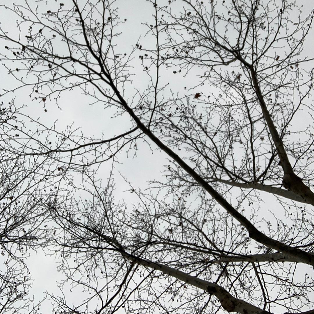 念念🧚🏻‍♀️