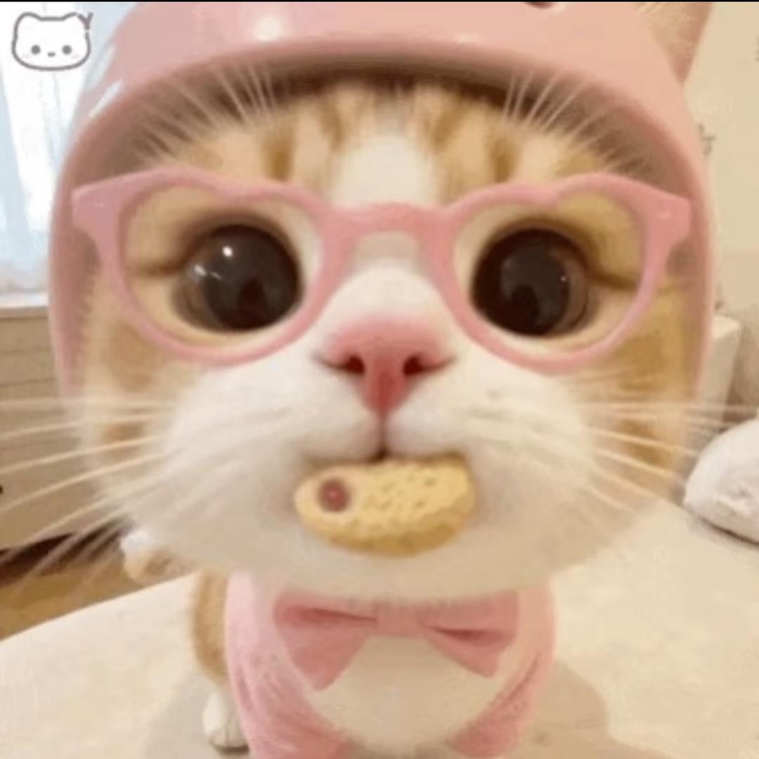 呆呆小猫