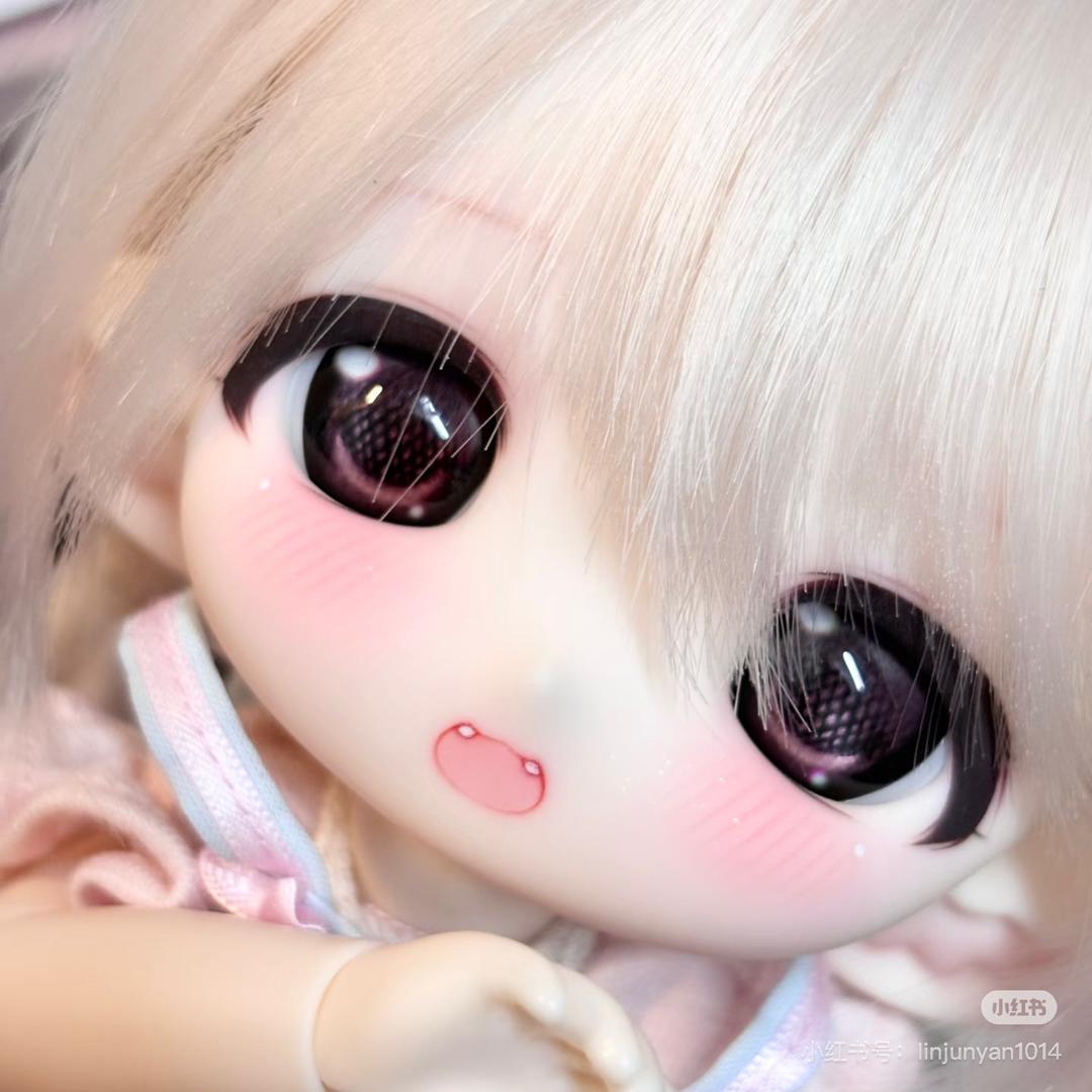 小鱼🐾