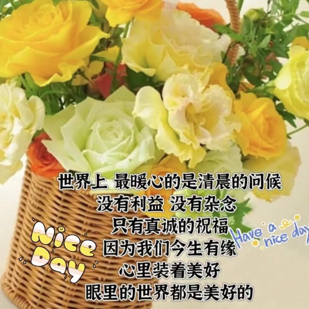 💕云朵💕