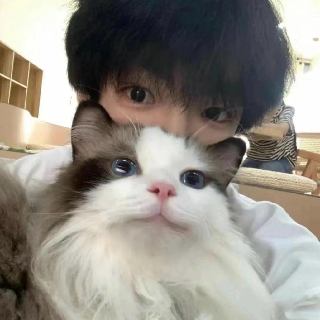 cccc（三角洲行动）